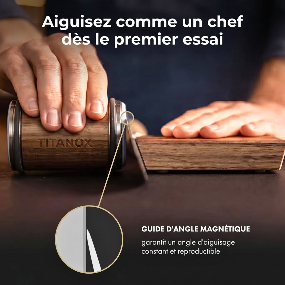 Aiguiseur de Couteaux Professionnel